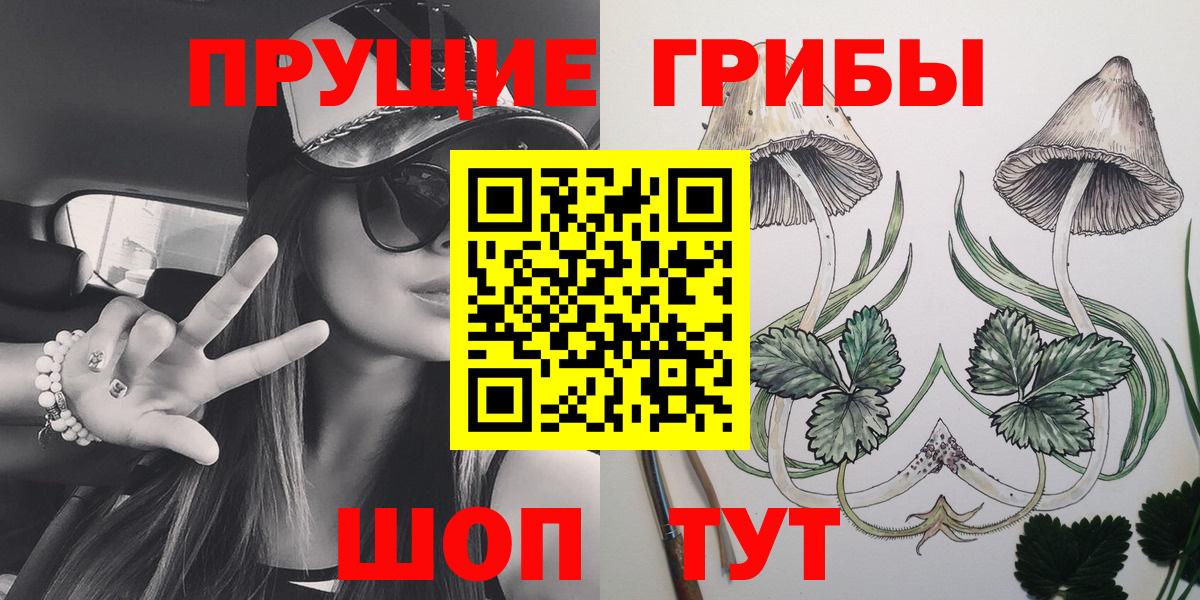 Псилоцибиновые грибы мицелий  Вход с VPN  Кохма  Псилоцибиновые грибы GOLDEN TEACHER 
