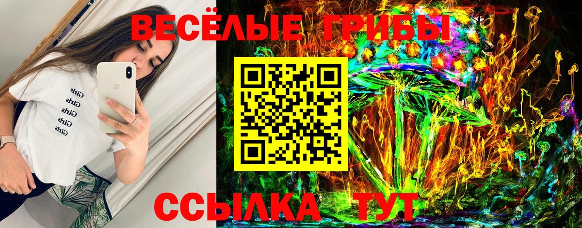 Псилоцибиновые грибы прущие грибы Кохма
